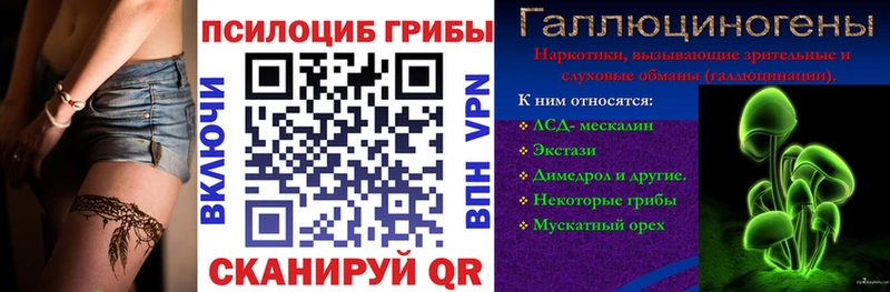 дарнет шоп  Ярцево  Галлюциногенные грибы прущие грибы 